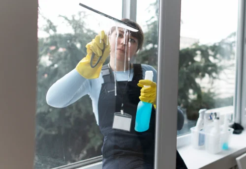 Nettoyage de vitres intérieures et extérieures au Noyer